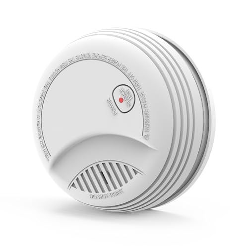 437 Standalone Smoke Detector
