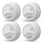 437 Standalone Smoke Detector