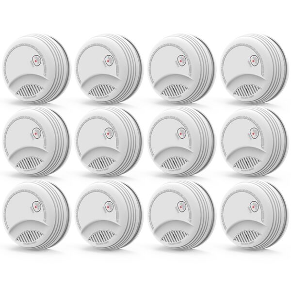 437 Standalone Smoke Detector