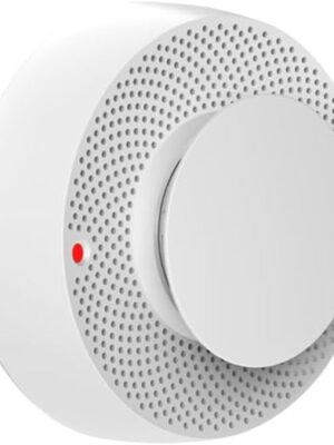 S10 Standalone Smoke Detector
