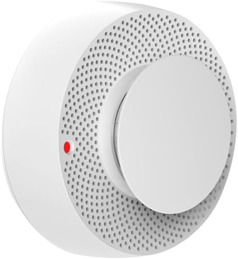 S10 Standalone Smoke Detector