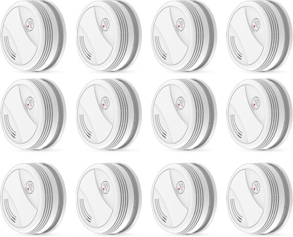 443 Standalone Smoke Detector